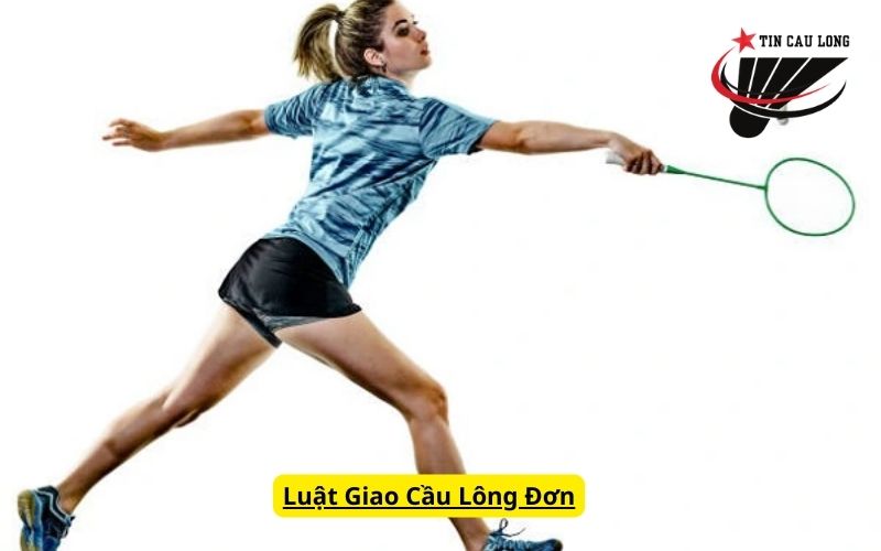 Luật Giao Cầu Lông Đơn